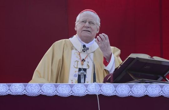 scola immigrazione