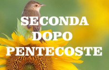 Omelie 2019 di don Giorgio: SECONDA DOPO PENTECOSTE